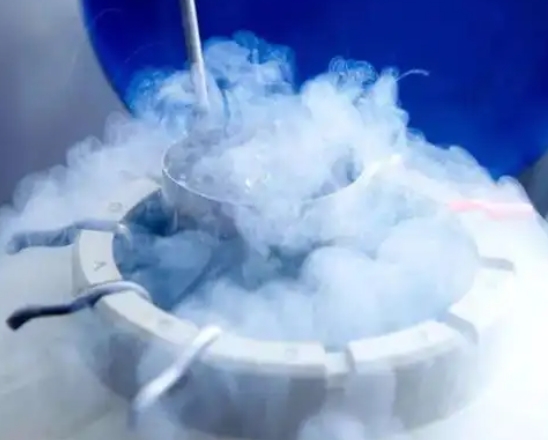 神農(nóng)架液氮速凍食品會損失營養(yǎng)嗎？